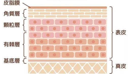 40岁女人如何抗衰老,四十多岁女人吃什么食物抗衰老