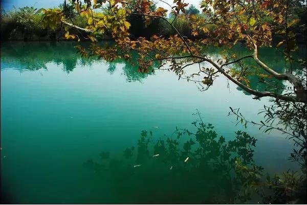 探秘广西巴马长寿之旅,广西巴马长寿探秘之旅