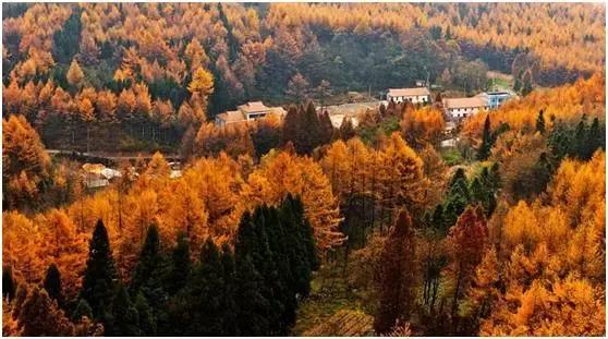 2022骞存仼鏂藉晢涓氶瓍鍔涙帓琛屾,榄呭姏鎵撳崱涔嬪煄鎭╂柦