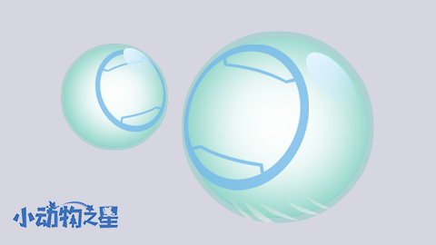 欢乐仓鼠球小动物,小动物之星国服仓鼠球