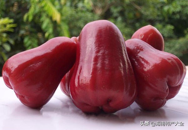 海南特产前三名,去海南必买十大特产