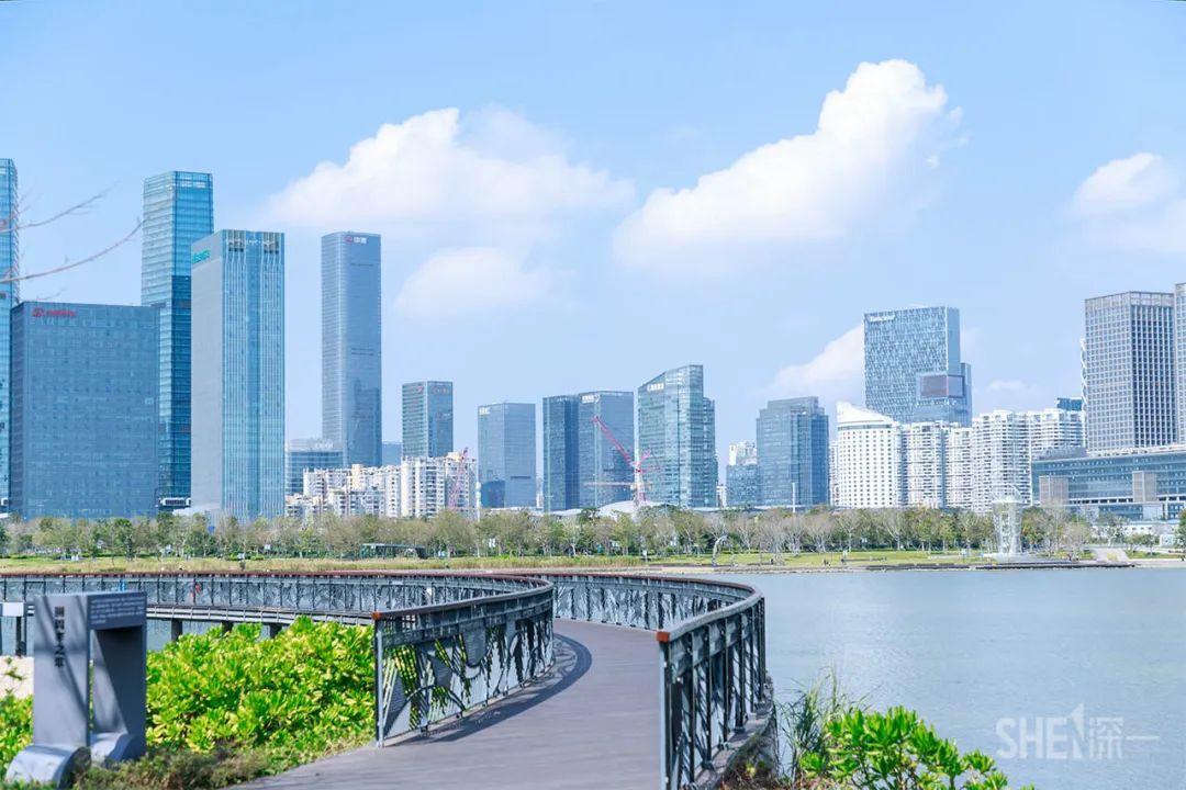 深圳卖衣服的商场,深圳的商场有哪些