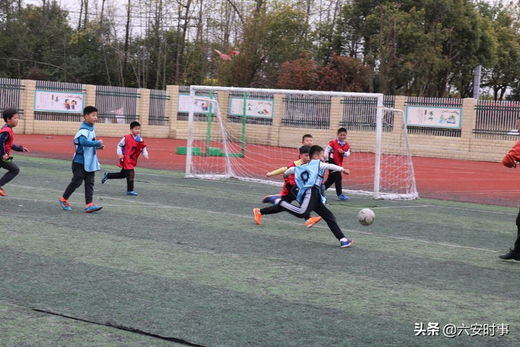 *光春**烂漫静待花开﻿——丰安小学3月活动纪实