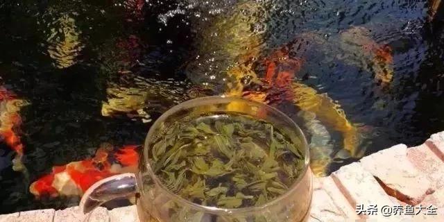 经历2次整池团灭，没关系！接着买从头再来！