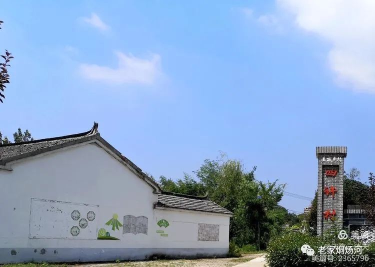 巢湖风：平凡人不平凡的事——记烔炀河塘稍村人许寿东