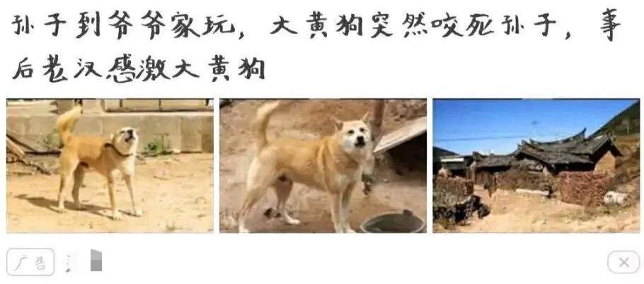 盘点5本轻松幽默的网络沙雕文,盘点那些有趣的沙雕文