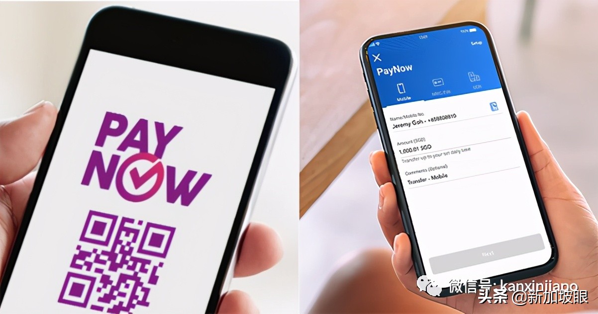 paynow转账不了,paynow怎么收回付出去的钱