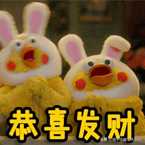 关于出国，这篇文章可能会*翻推**你的幻想