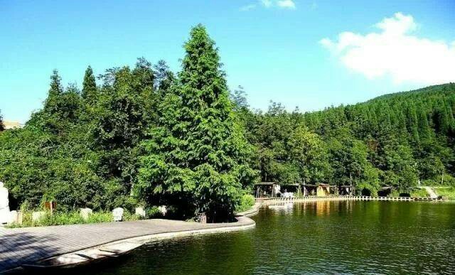 鹧鸪天三岭山,鹧鸪天天宁寺
