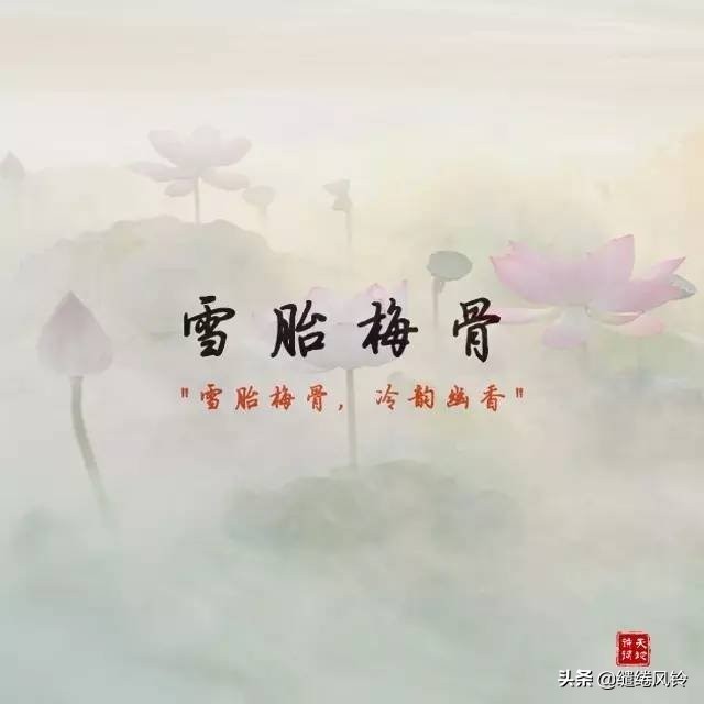 含有暗香的古诗成语,古诗词中的绝美成语