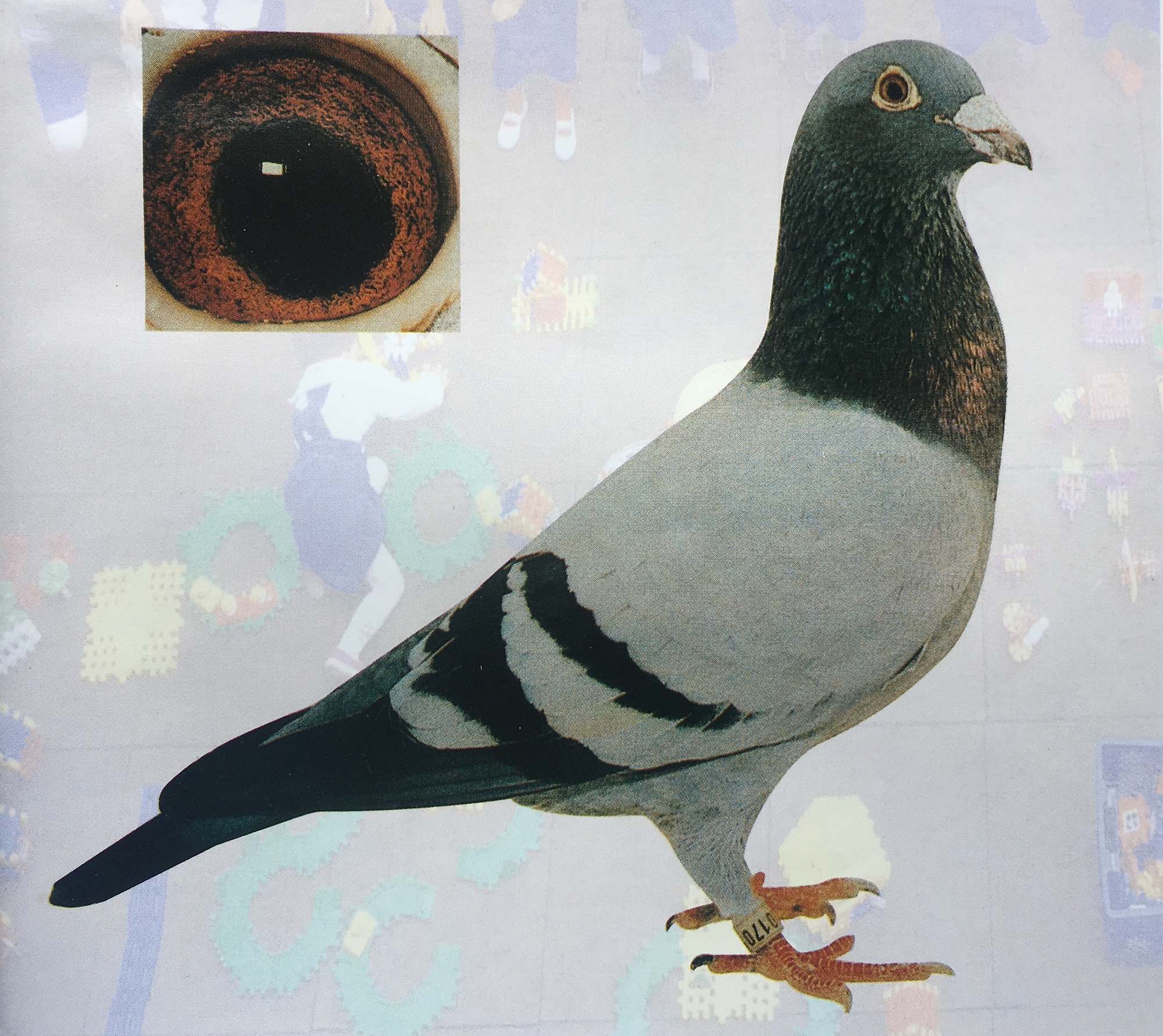 九方皋相马启示,从九方皋相马得到什么启示