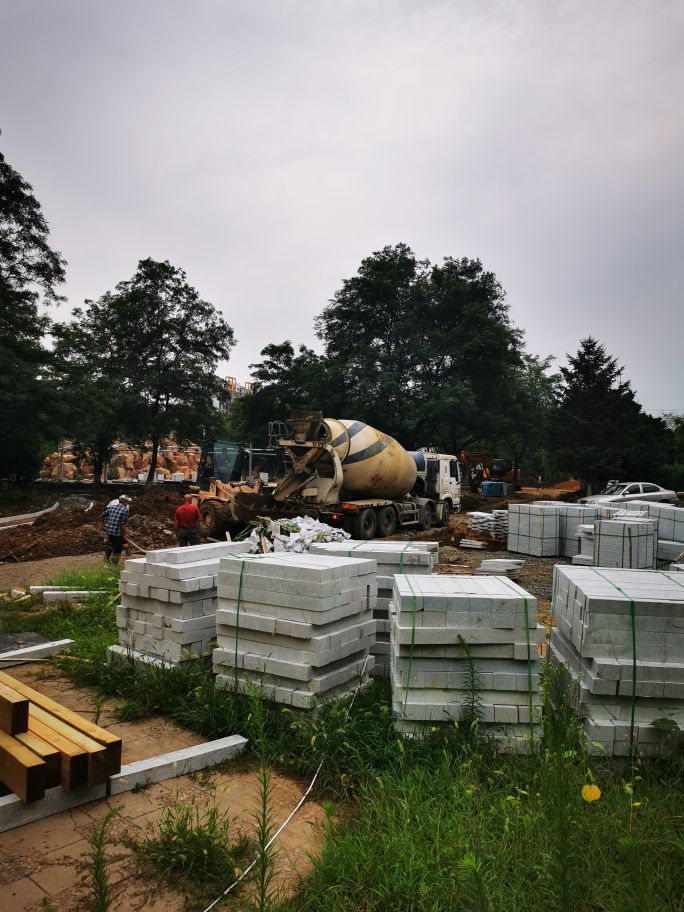 娌堥槼寮犲＋濂夎揪鍏洯,娌堥槼濂夎揪鍏洯