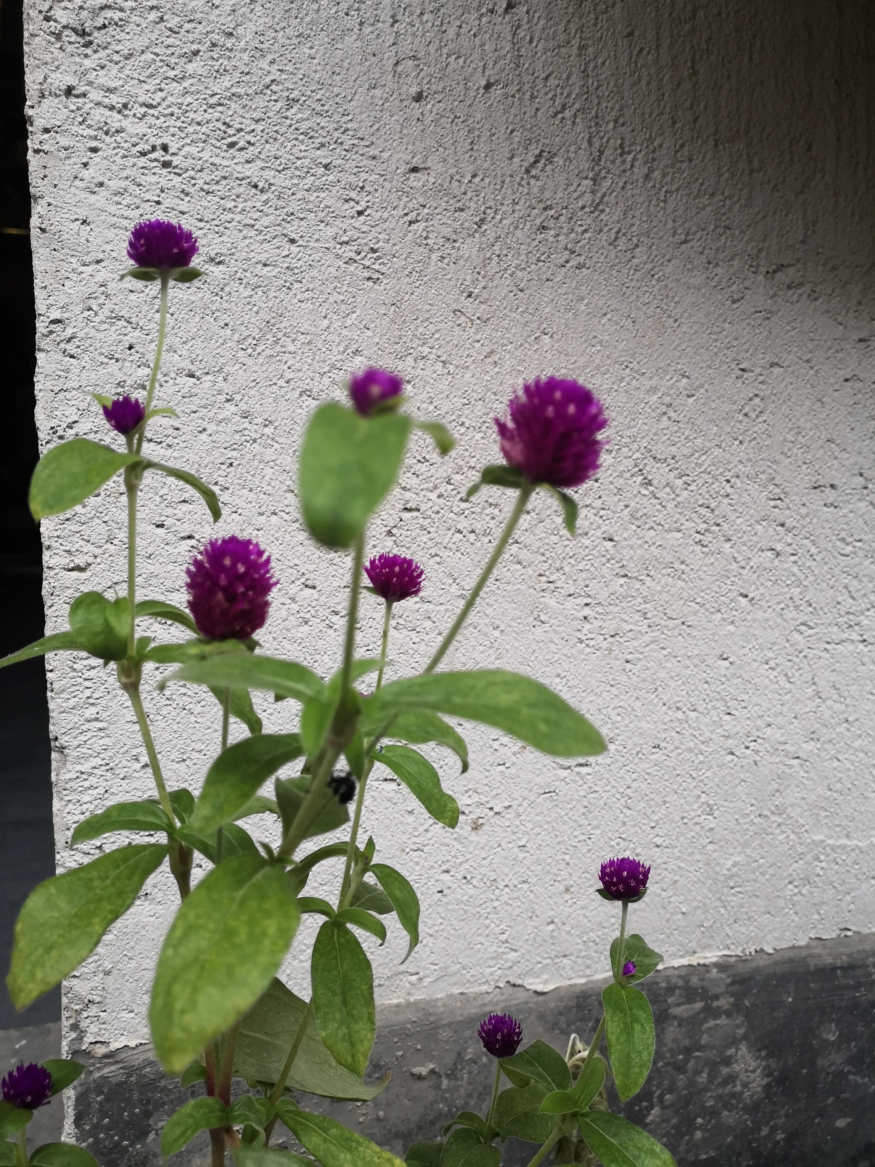 瀹忔潙闂叉儏闆呯瓚瀹㈡爤,瀹忔潙澶滈洦浜哄瀹㈡爤