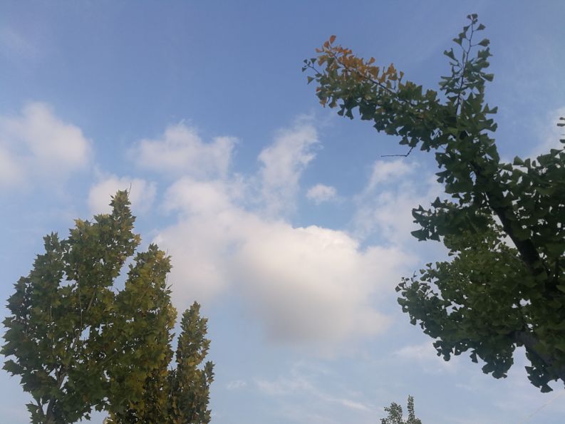 散文一缕墨香一丝牵挂,散文一朵丁香花