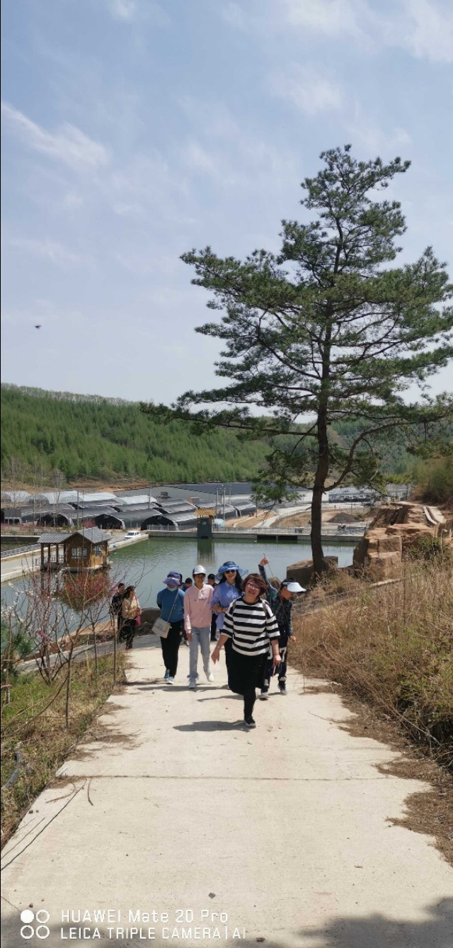 陌上花开岁月如故,陌上花开岁月无恙