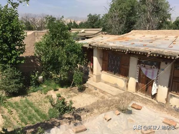 白银连环杀手案,白银杀手连环案