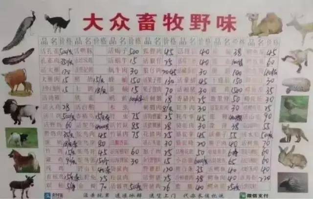 疫情在家陪娃学习新技能,在家隔离教你怎么训练孩子