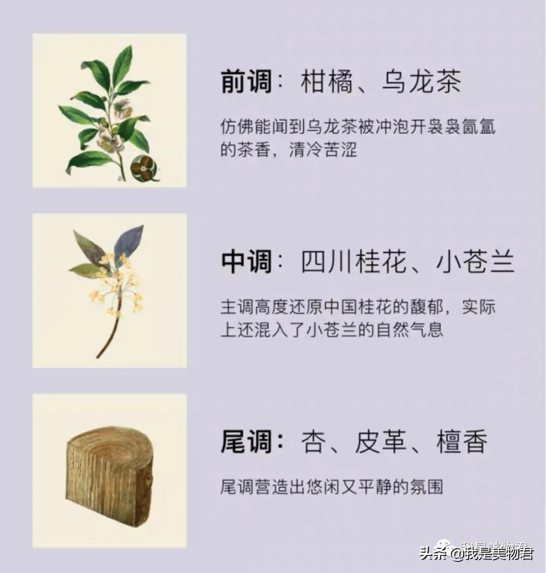 秋天香水橘香,秋季香水