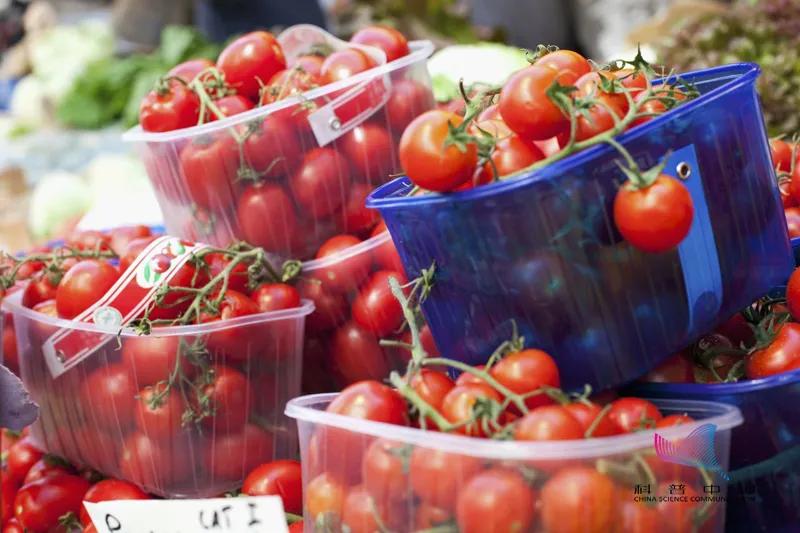 车厘子樱桃菠萝凤梨,车厘子樱桃猕猴桃奇异果