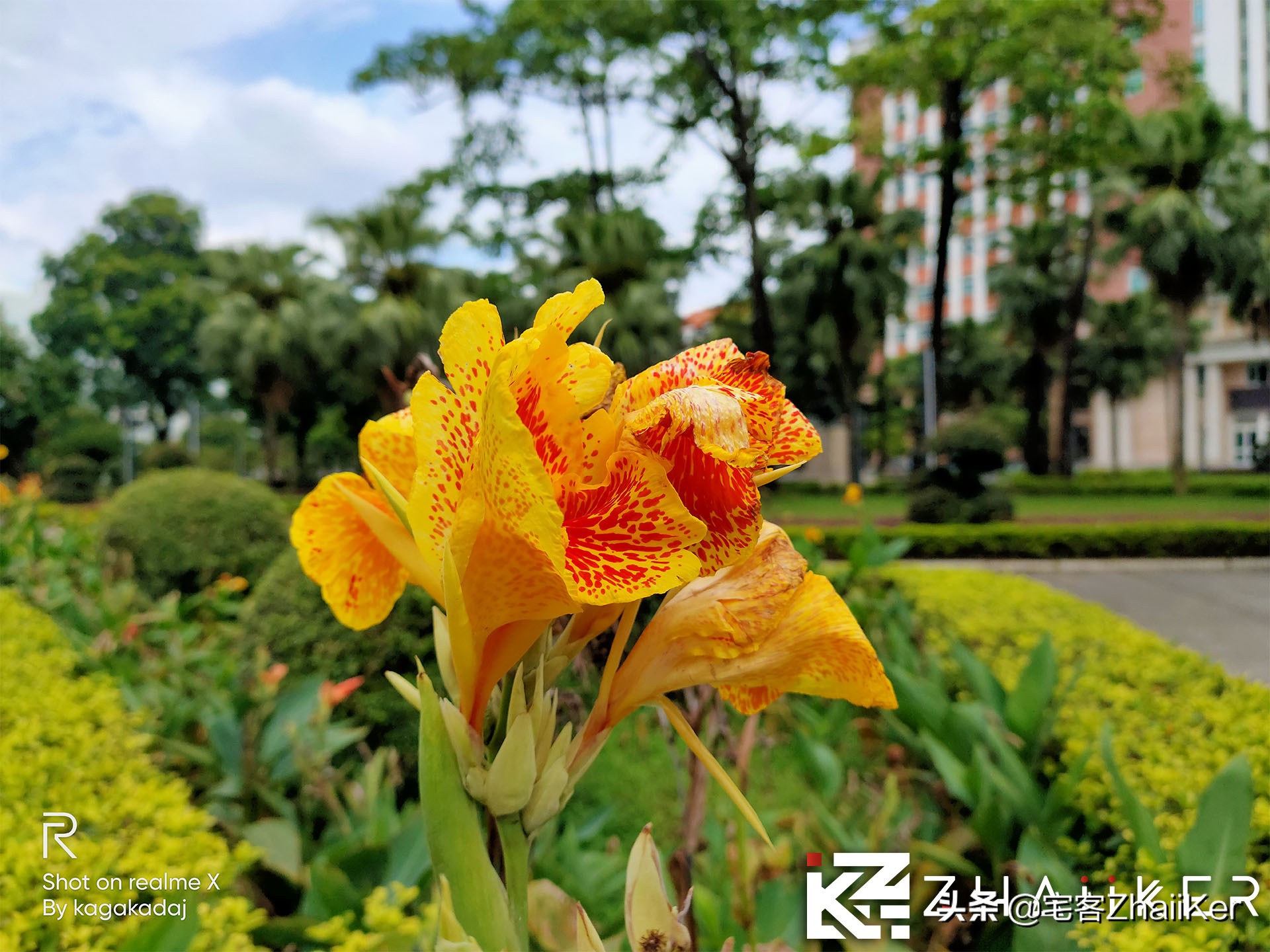 买oppox还是reno系列,买opporeno还是网上买