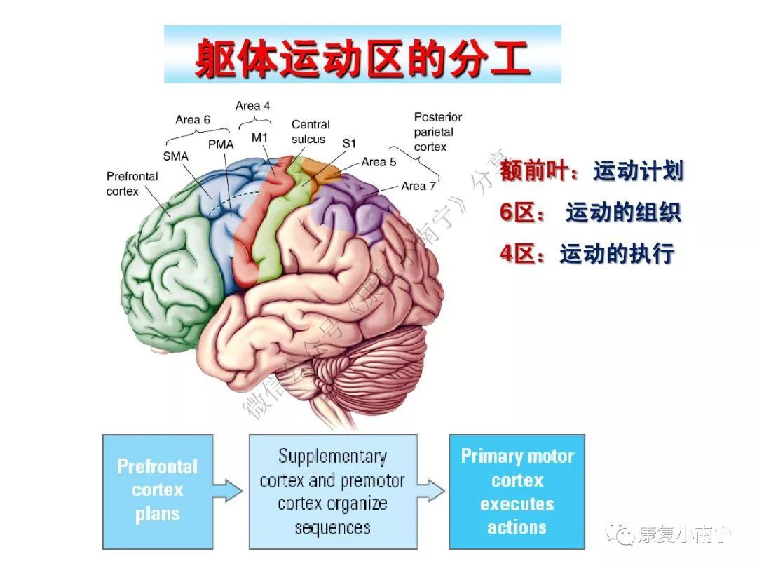 深蹲膝盖不超过脚尖就向后倒,深蹲可以改善膝盖内扣吗