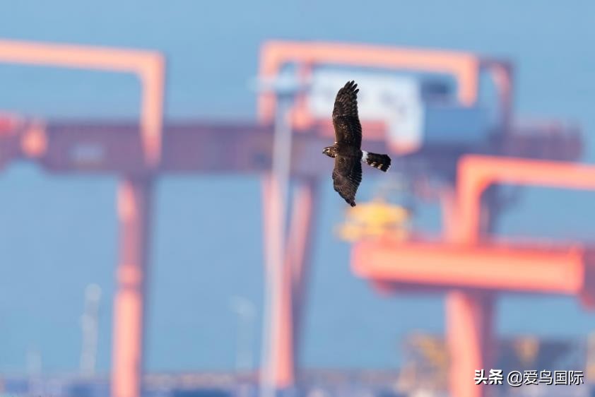 索尼selp1670镜头评测,索尼alpha9镜头