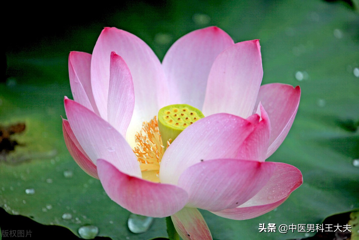 四肢酸软睡不着怎么处理,四肢酸软无力在中医是怎么回事