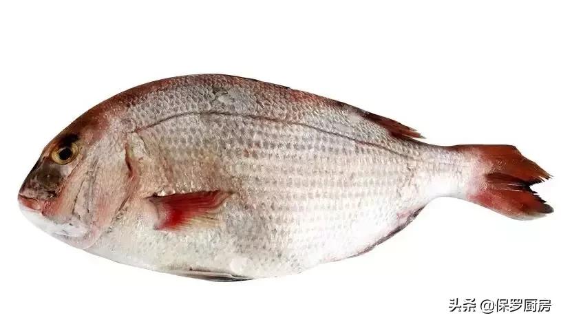 海鲜大荟萃,常见贝壳类海鲜