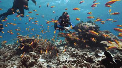 探究液体压强大小的影响因素实验,八年级下册液体对容器的压强