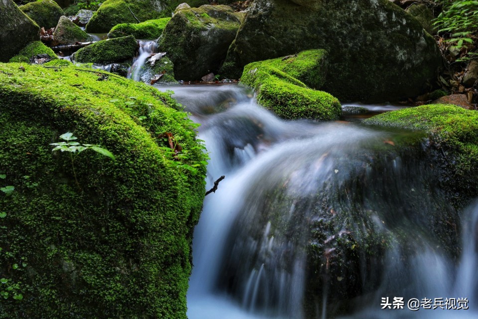 有一种旅行,叫去桓仁看绿