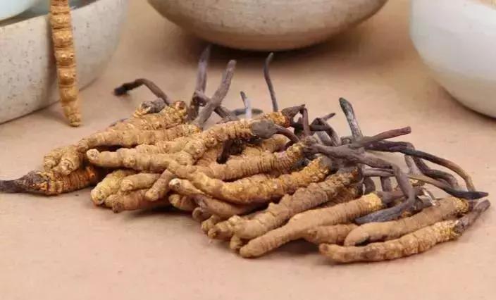 医托诈骗常见套路和预防措施,常见的诈骗套路