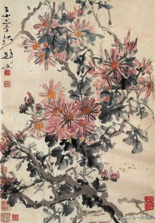 国画菊花画法步骤图解,国画菊花品种大全