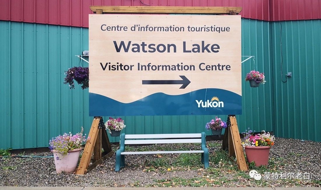 跟着老白行走加拿大，育空Watson Lake、BC省Northern Rockies