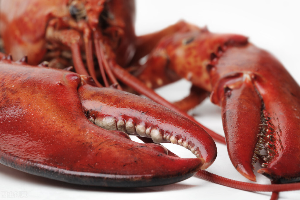 让肉看起来更像肉，红曲色素在肉制品中作用