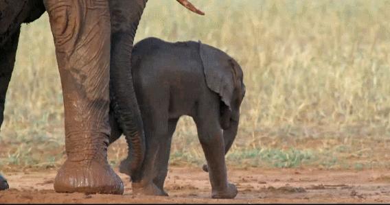 年度最佳女主角范冰冰,颜值与演技力压范冰冰