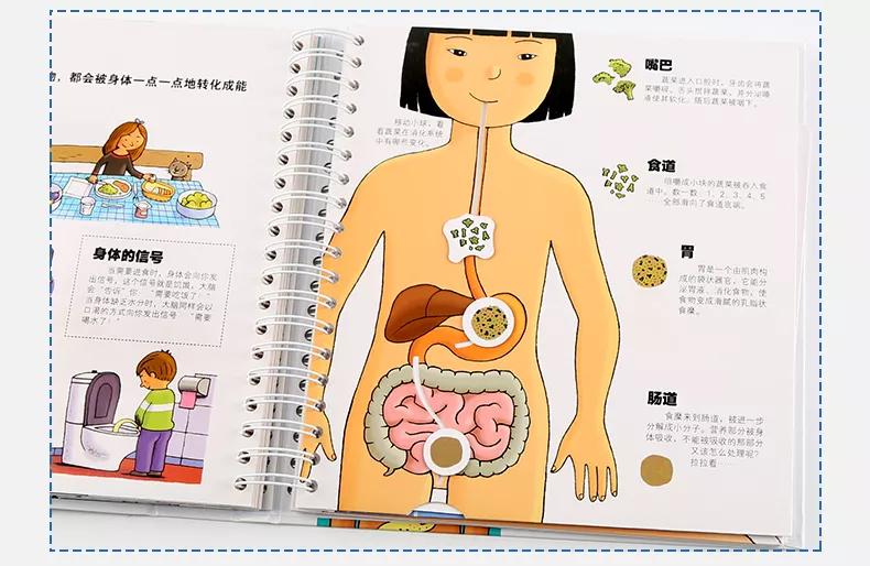 儿童性教育究竟该咋做?这篇堪称教科书级的文章,手把手教你