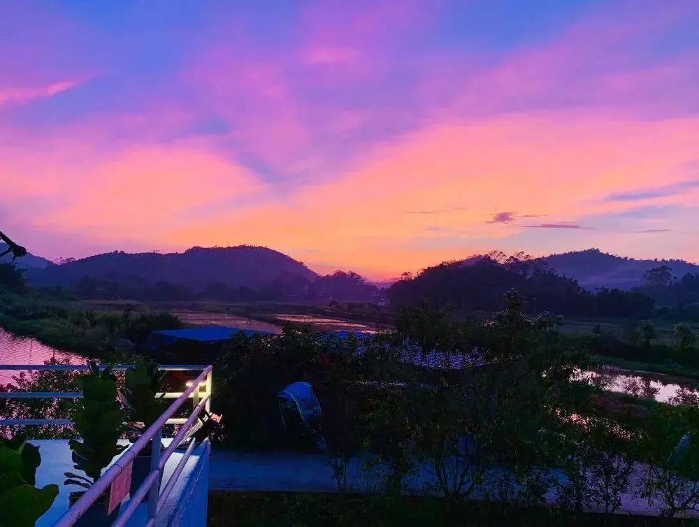 藏于稻田竹海中的增城轻奢民宿,广州增城中新镇三天两夜民宿推荐