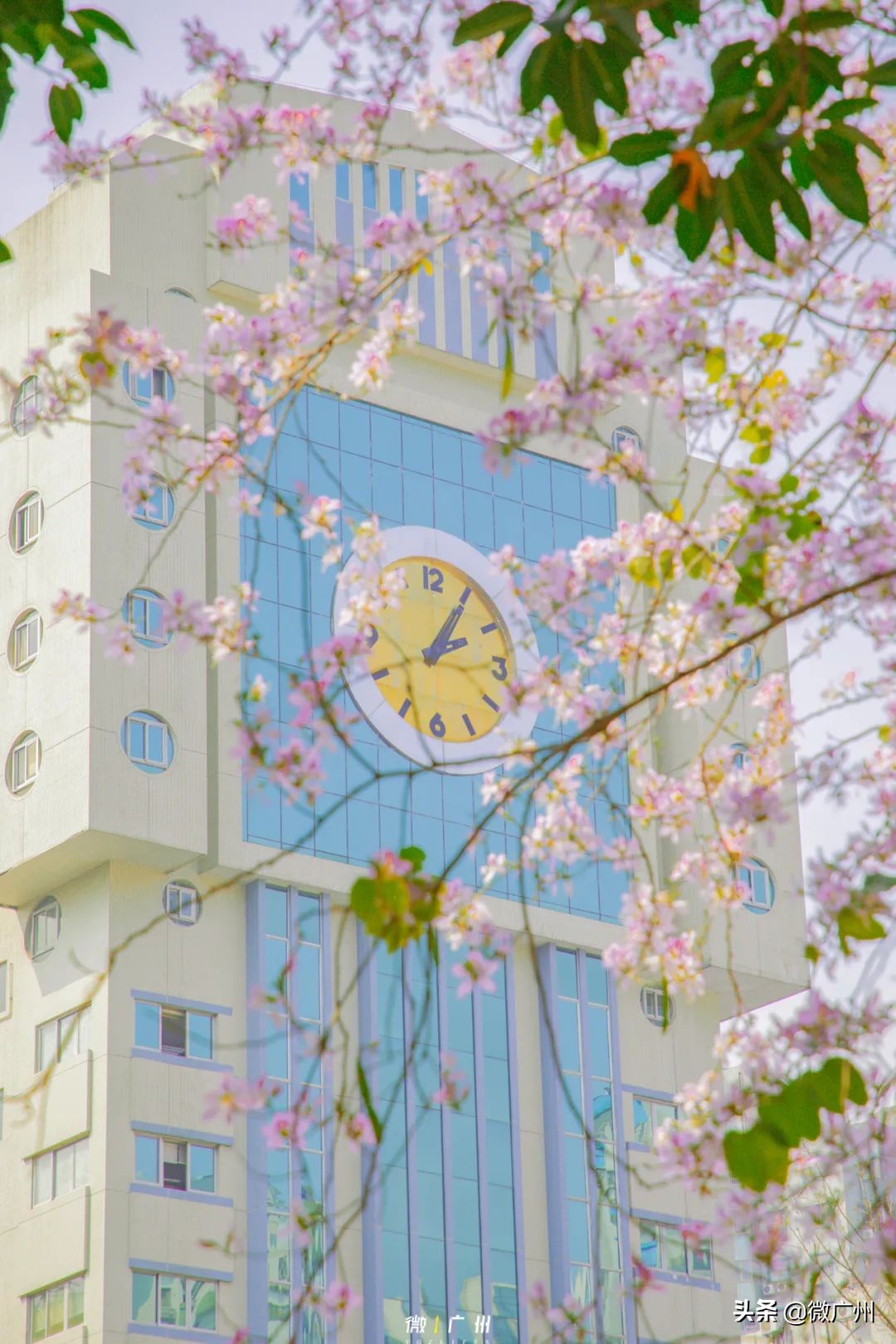 广州五羊邨富人区,广州被遗忘的荒村