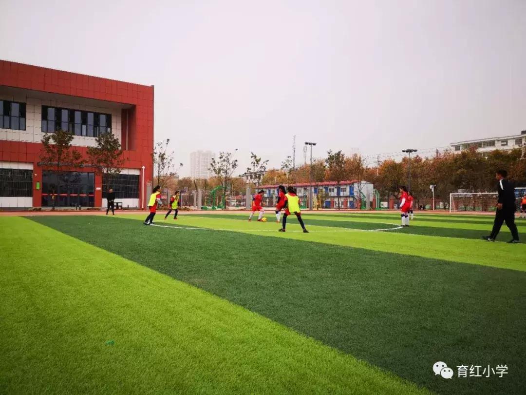 育红小学足球比赛,育红小学2024运动会