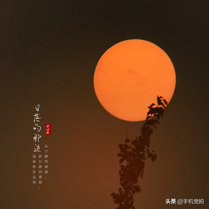 摄影教学50秒学会的简单摄影技巧,初学摄影必背口诀