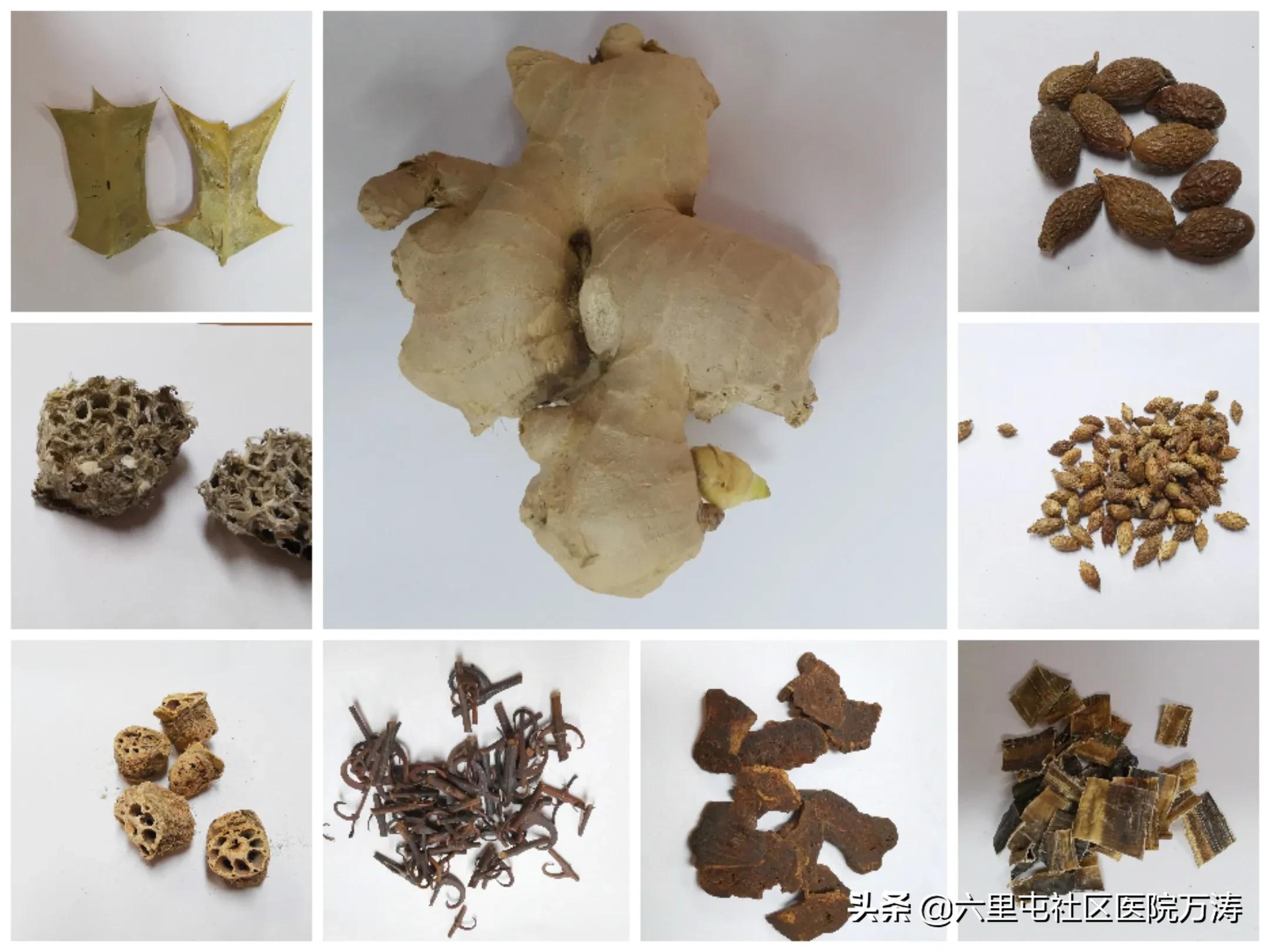 浅谈中西方绘画的异同点1500字,浅谈中西政治制度的区别