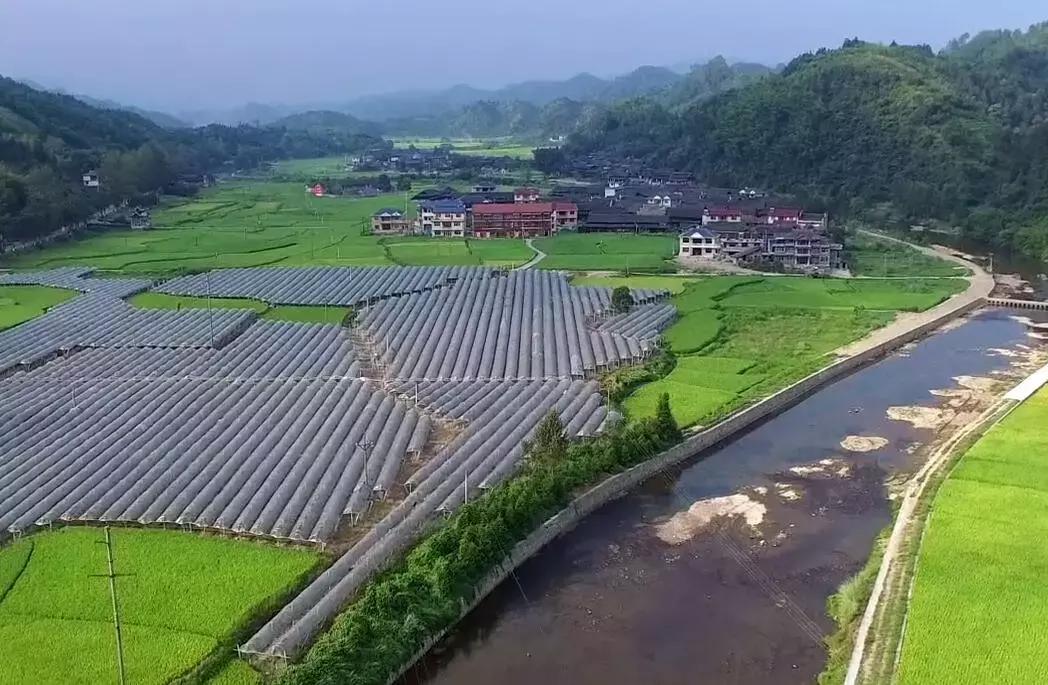 下一站联合电子,下一站同行