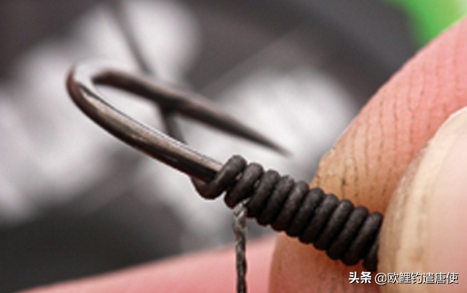 话说欧鲤钓诱饵篇,枯叶钓组和线辫钓组区别