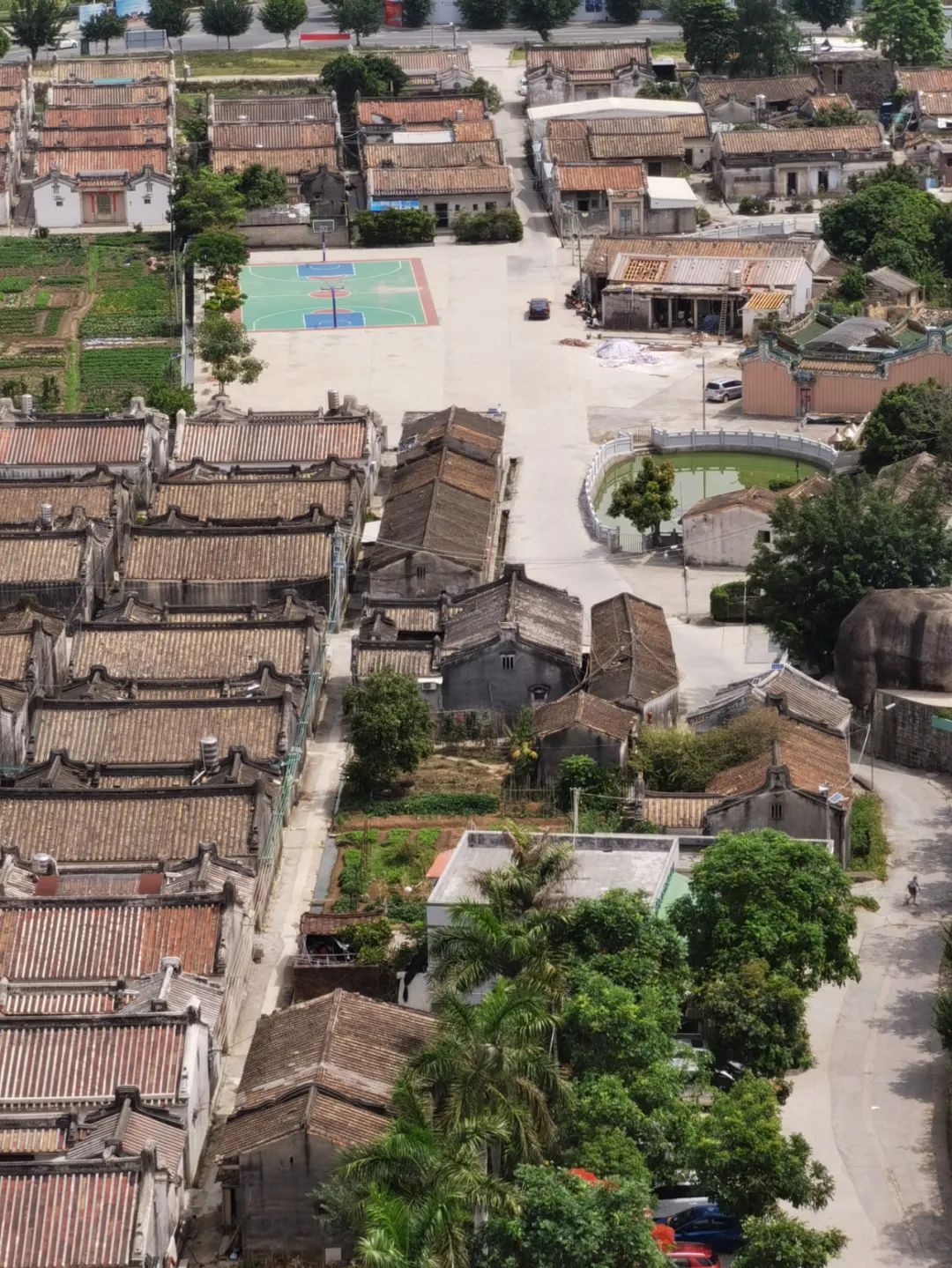 普宁市国土局拆违建房,普宁市拆违建最新消息