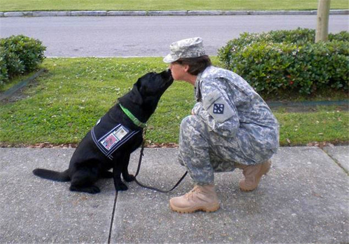 狗狗亲嘴是什么行为,狗狗亲吻你的嘴巴是什么意思