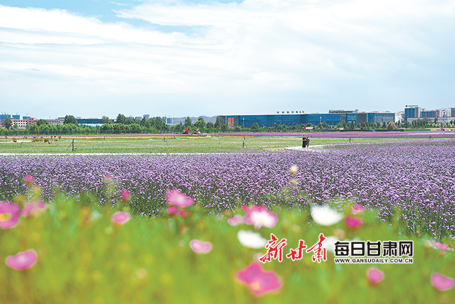 兰州新区生态建设情况调研,兰州新区生态环境