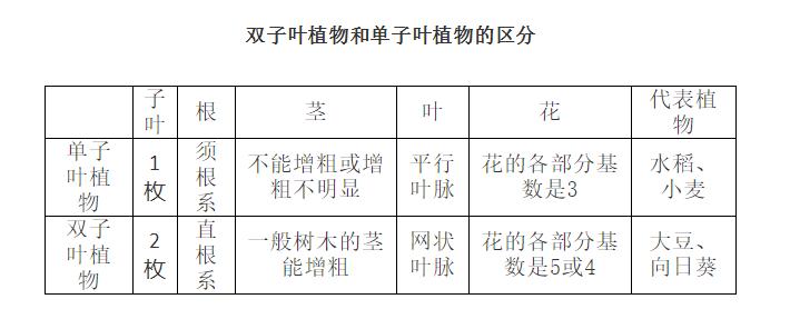 七年级上科学8-11章知识点总结,七年级上册华东师大版科学知识点
