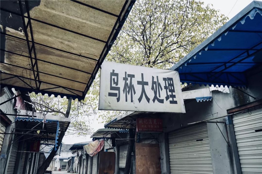 成都黄田坝鸟市在哪里,成都黄田坝鸟市