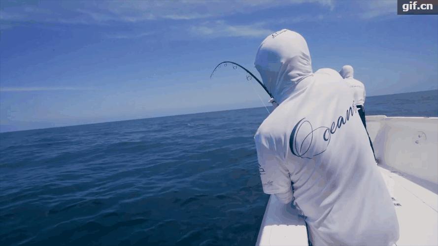 汉鼎6.3鱼竿哪款性价比较高,钓友们买汉鼎的竿都在哪里买