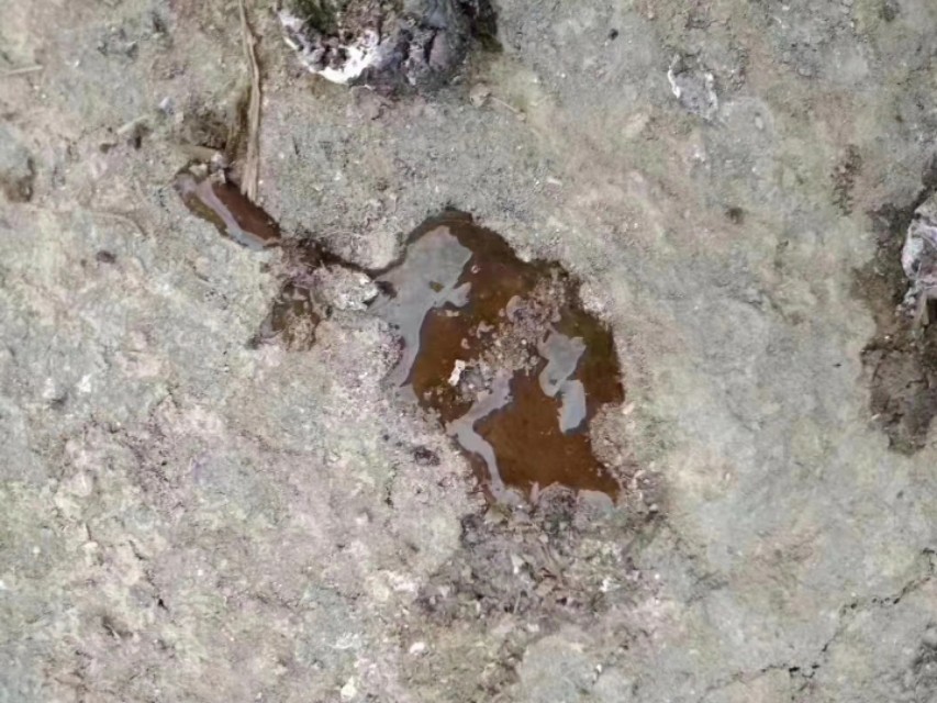 硫酸粘杆菌素在养猪中的作用,粘杆菌素在水产养殖中的应用